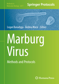 Vorderes Coverbild Marburg Virus