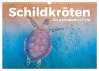 Vorderes Coverbild Schildkröten - Die gepanzerten Tiere. (Wandkalender 2025 DIN A3 quer), CALVENDO Monatskalender