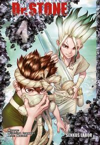 Vorderes Coverbild Dr. Stone 4