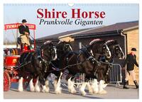Vorderes Coverbild Shire Horse • Prunkvolle Giganten (Wandkalender 2026 DIN A3 quer), CALVENDO Monatskalender