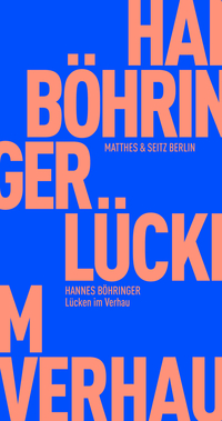 Vorderes Coverbild Lücken im Verhau
