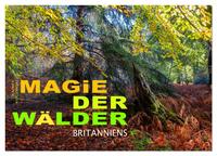 Vorderes Coverbild Magie der Wälder Britanniens (Tischkalender 2026 DIN A5 quer), CALVENDO Monatskalender