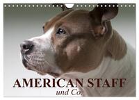 Vorderes Coverbild American Staff und Co. (Wandkalender 2025 DIN A4 quer), CALVENDO Monatskalender