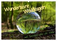 Vorderes Coverbild Wunderbare Waldkugeln (Wandkalender 2025 DIN A2 quer), CALVENDO Monatskalender