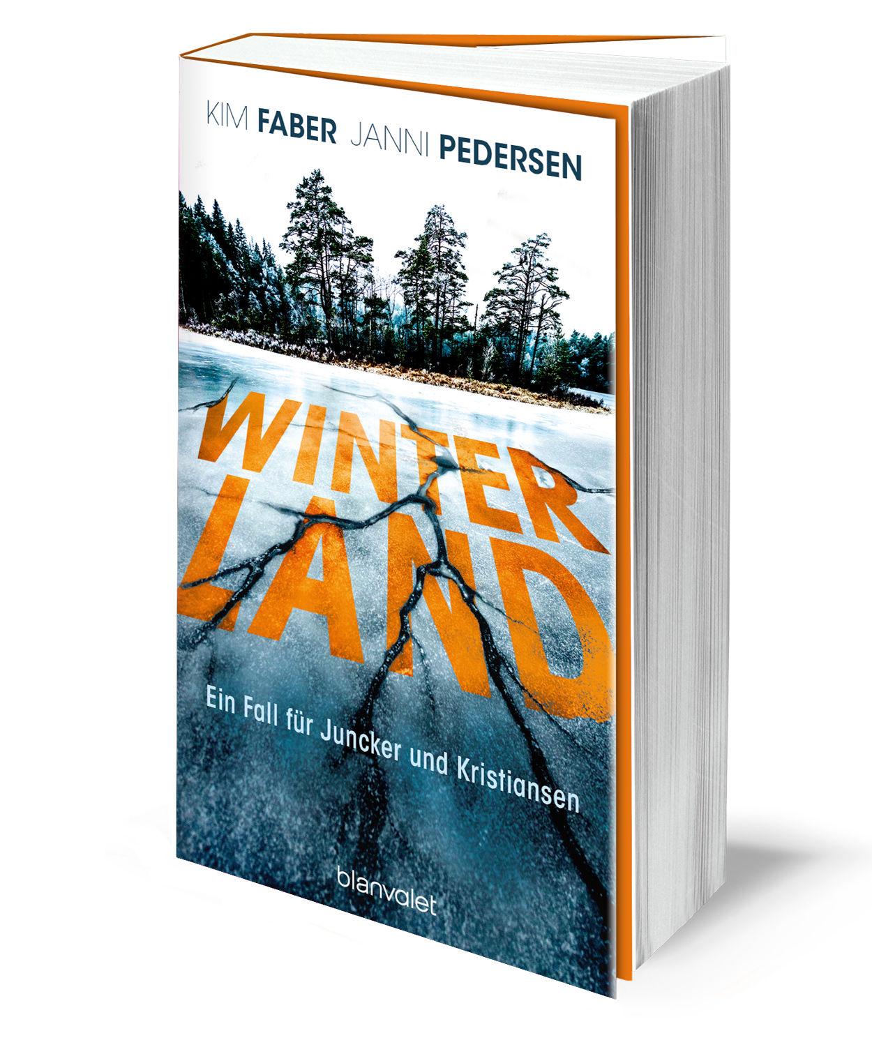Beispielinhalt (Bild) Winterland