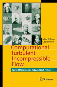 Vorderes Coverbild Computational Turbulent Incompressible Flow