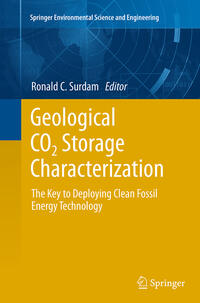 Vorderes Coverbild Geological CO2 Storage Characterization