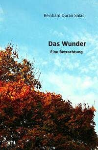 Vorderes Coverbild Das Wunder