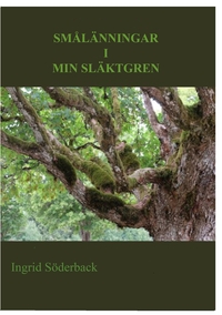 Vorderes Coverbild Smålänningar i min släktgren