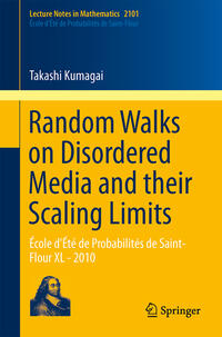 Vorderes Coverbild Random Walks on Disordered Media and their Scaling Limits