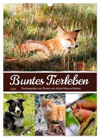 Vorderes Coverbild Buntes Tierleben (Wandkalender 2025 DIN A3 hoch), CALVENDO Monatskalender