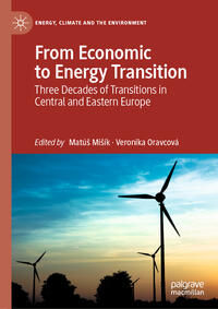Vorderes Coverbild From Economic to Energy Transition