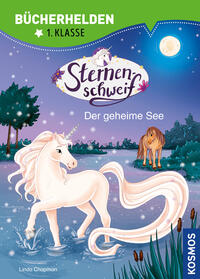 Vorderes Coverbild Sternenschweif, Bücherhelden 1. Klasse, Der geheime See