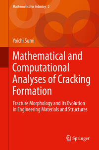 Vorderes Coverbild Mathematical and Computational Analyses of Cracking Formation