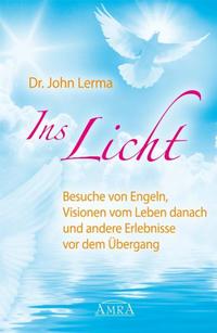 Vorderes Coverbild Ins Licht. Wahre Geschichten über Besuche von Engeln, Visionen vom Leben danach und andere Erlenbnisse vor dem Übergang