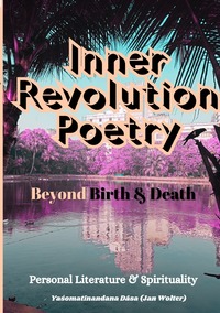 Vorderes Coverbild Spiritual Traveler / Inner Revolution 4