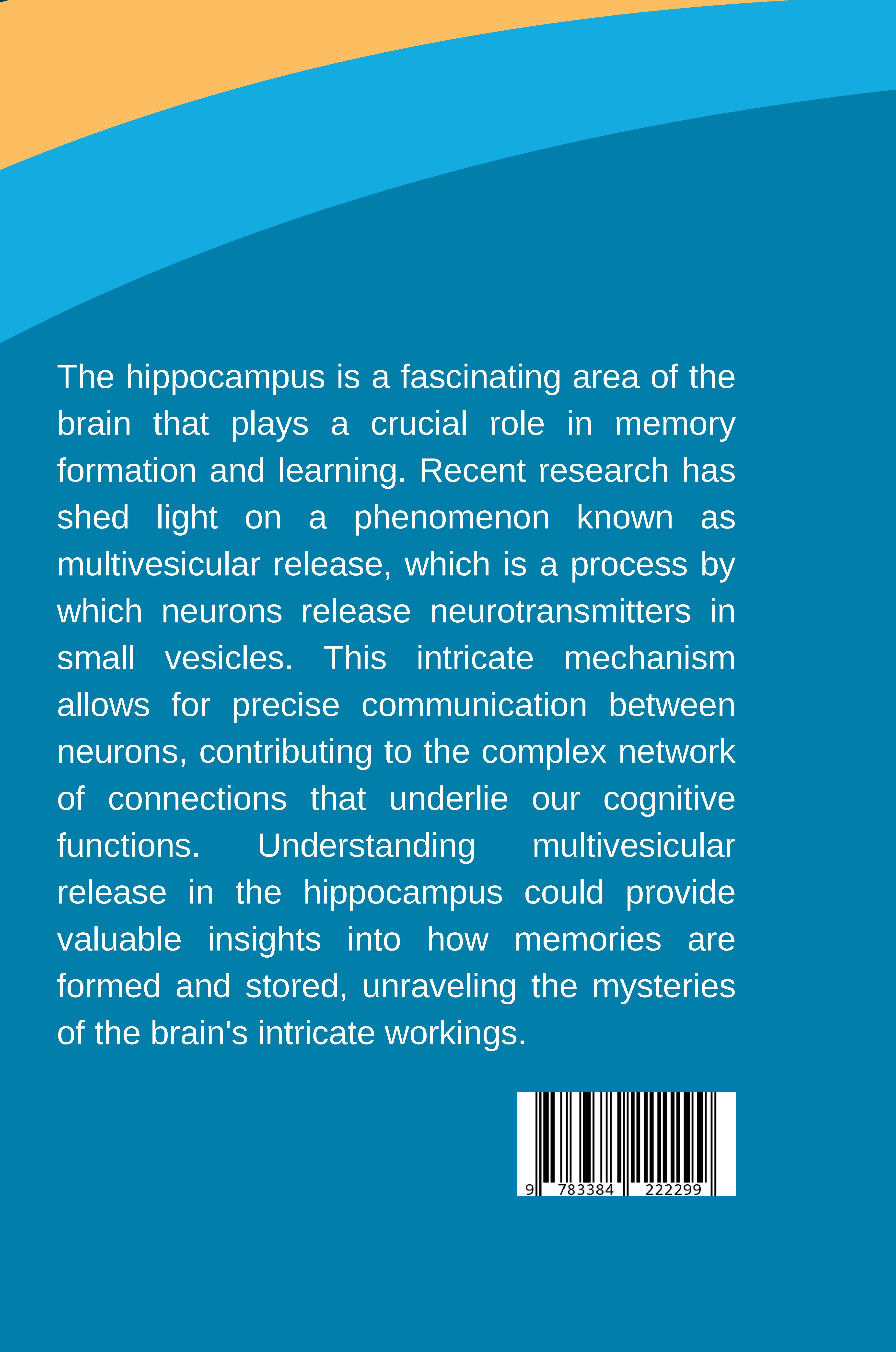 Rückseitencover Hippocampus: Unveiling Multivesicular Release