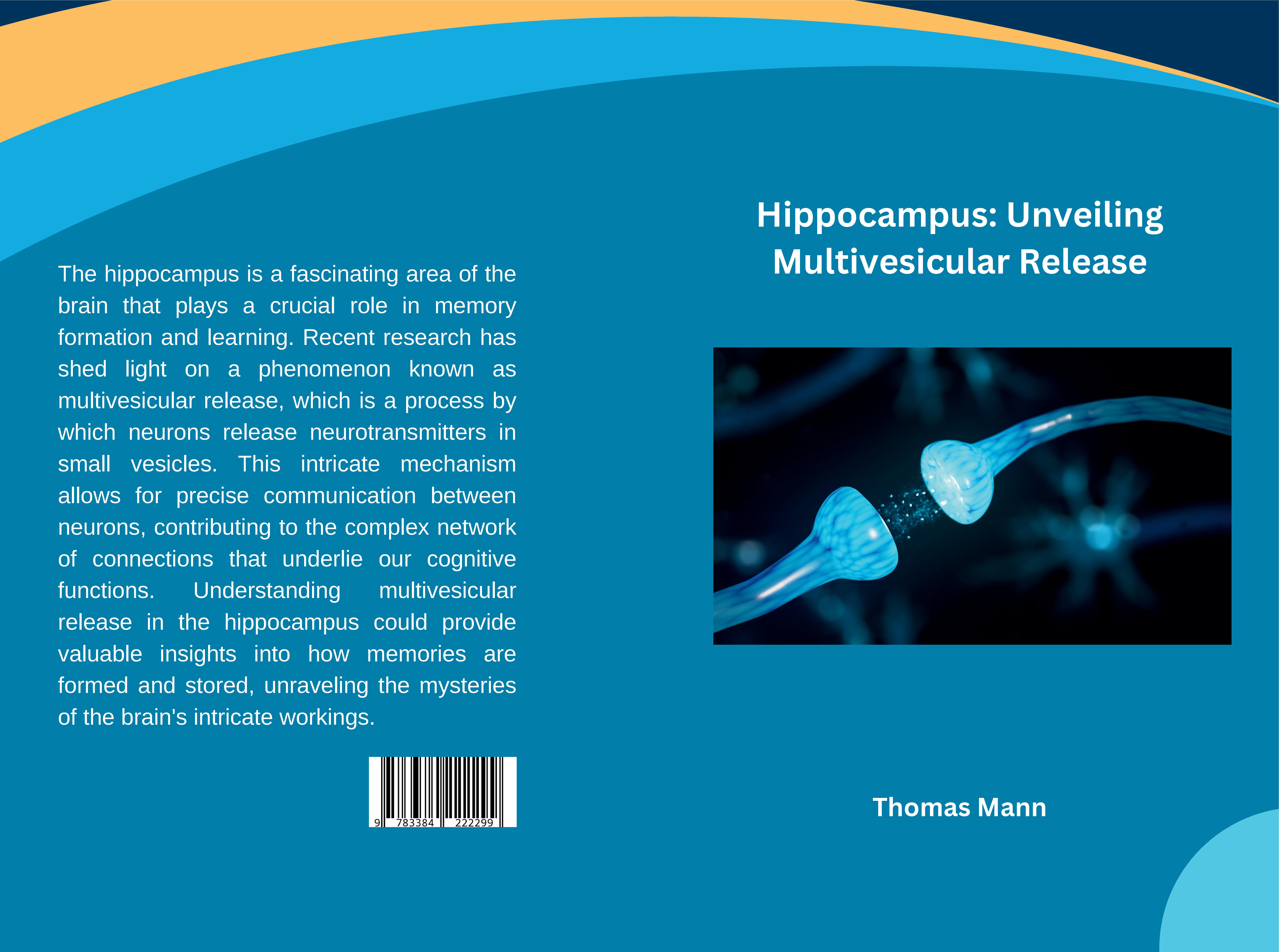 Gesamtes Coverbild Hippocampus: Unveiling Multivesicular Release