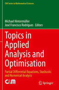 Vorderes Coverbild Topics in Applied Analysis and Optimisation