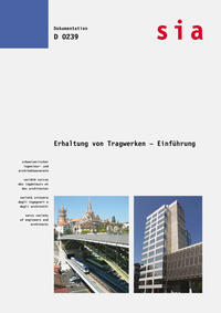 Vorderes Coverbild Erhaltung von Tragwerken - Einführung