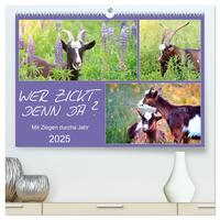 Vorderes Coverbild Wer zickt denn da? Mit Ziegen durchs Jahr (hochwertiger Premium Wandkalender 2025 DIN A2 quer), Kunstdruck in Hochglanz