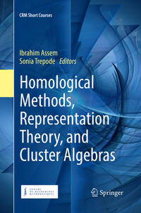 Vorderes Coverbild Homological Methods, Representation Theory, and Cluster Algebras