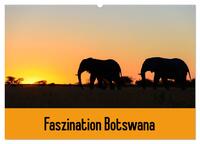 Vorderes Coverbild Faszination Botswana (Wandkalender 2025 DIN A2 quer), CALVENDO Monatskalender