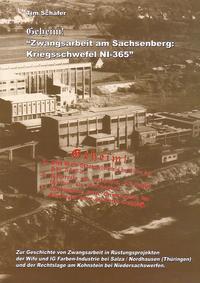 Vorderes Coverbild Zwangsarbeit am Sachsenberg (Kohnstein): Kriegsschwefel NI-365
