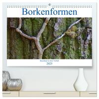 Vorderes Coverbild Borkenformen (hochwertiger Premium Wandkalender 2025 DIN A2 quer), Kunstdruck in Hochglanz