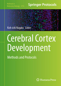 Vorderes Coverbild Cerebral Cortex Development