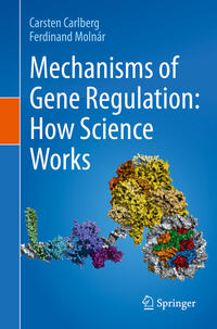 Vorderes Coverbild Mechanisms of Gene Regulation: How Science Works