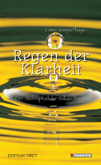Vorderes Coverbild Regen der Klarheit