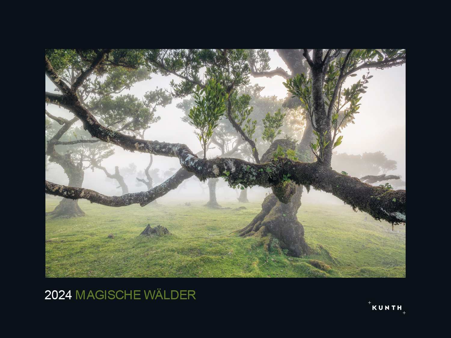 Beispielinhalt (Bild) Magische Wälder - KUNTH Wandkalender 2024