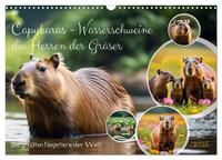 Vorderes Coverbild Capybaras - Wasserschweine die Herren der Gräser (Wandkalender 2025 DIN A3 quer), CALVENDO Monatskalender