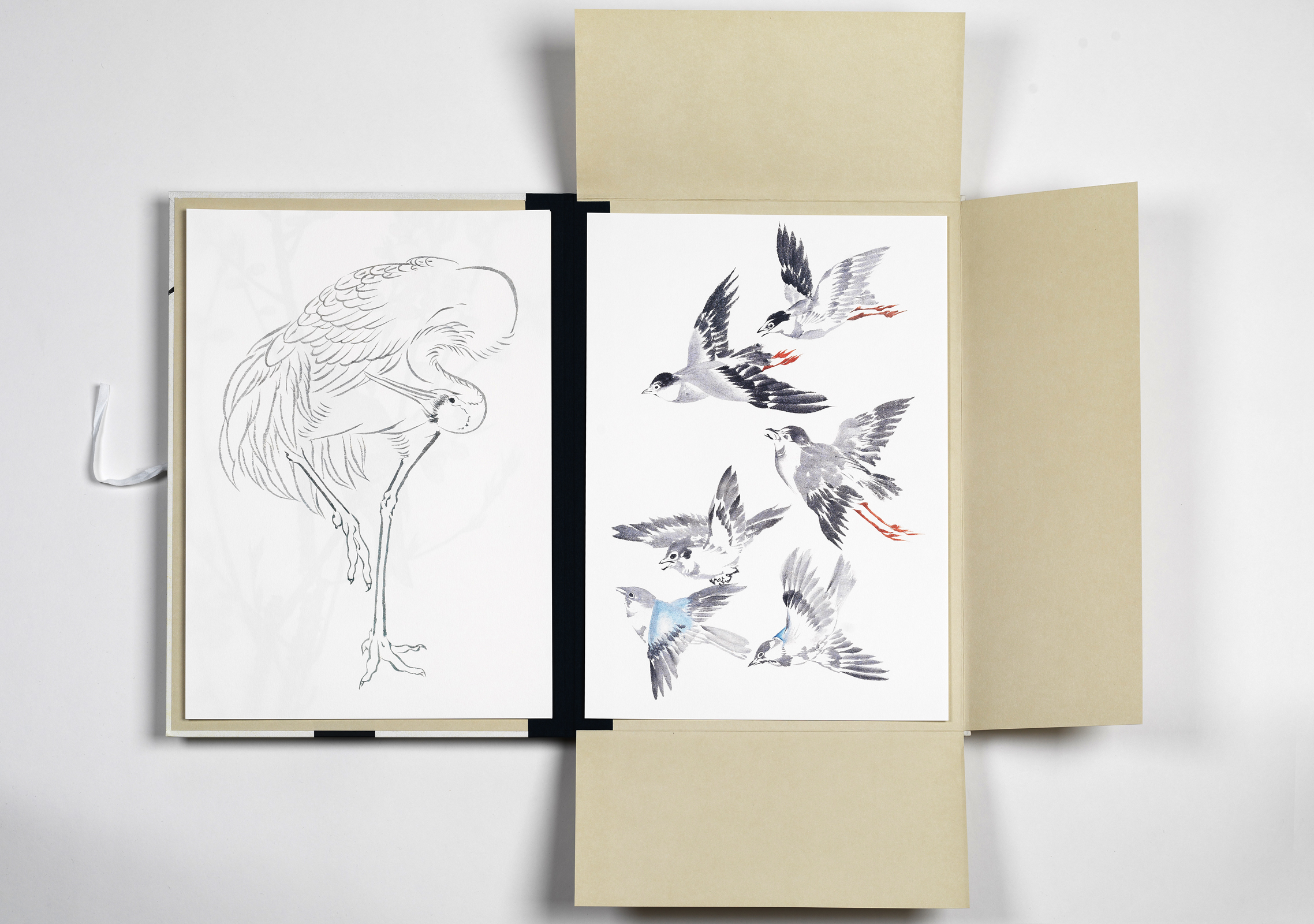 Beispielinhalt (Bild) Japanese Bird Prints