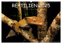 Vorderes Coverbild REPTILIEN (Wandkalender 2025 DIN A2 quer), CALVENDO Monatskalender