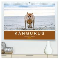 Vorderes Coverbild Kängurus, sprunghafte Gesellen (hochwertiger Premium Wandkalender 2025 DIN A2 quer), Kunstdruck in Hochglanz