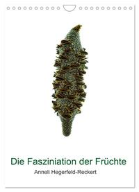 Vorderes Coverbild Die Faszination der Früchte (Wandkalender 2025 DIN A4 hoch), CALVENDO Monatskalender