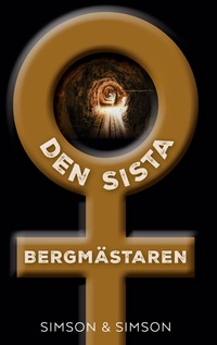 Vorderes Coverbild Den sista Bergmästaren