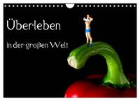 Vorderes Coverbild Überleben in der großen Welt - HO Figuren (Wandkalender 2026 DIN A4 quer), CALVENDO Monatskalender