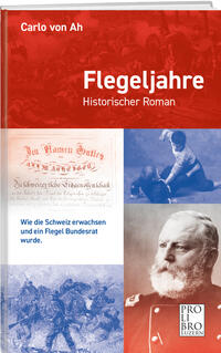 Vorderes Coverbild Flegeljahre