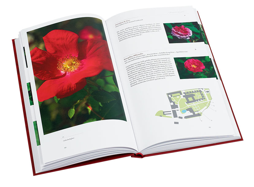 Beispielinhalt (Bild) Die Rosen der Kartause Ittingen
