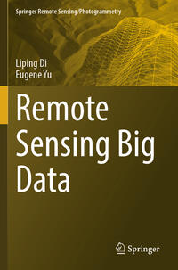 Vorderes Coverbild Remote Sensing Big Data