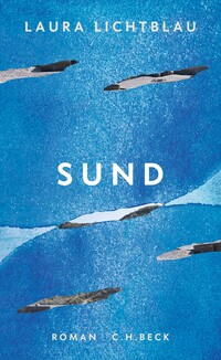 Vorderes Coverbild Sund