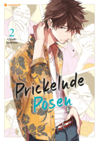 Vorderes Coverbild Prickelnde Posen – Band 2 (Finale)