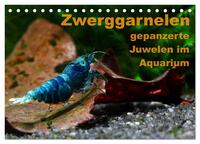 Vorderes Coverbild Zwerggarnelen - gepanzerte Juwelen im Aquarium (Tischkalender 2025 DIN A5 quer), CALVENDO Monatskalender