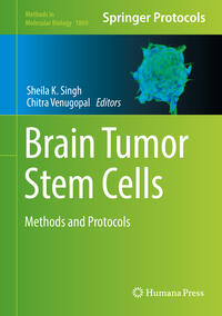 Vorderes Coverbild Brain Tumor Stem Cells