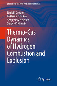 Vorderes Coverbild Thermo-Gas Dynamics of Hydrogen Combustion and Explosion