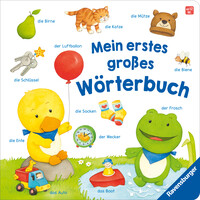 Vorderes Coverbild Mein erstes großes Wörterbuch