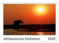 Vorderes Coverbild Afrikanische Elefanten (Tischkalender 2025 DIN A5 quer), CALVENDO Monatskalender